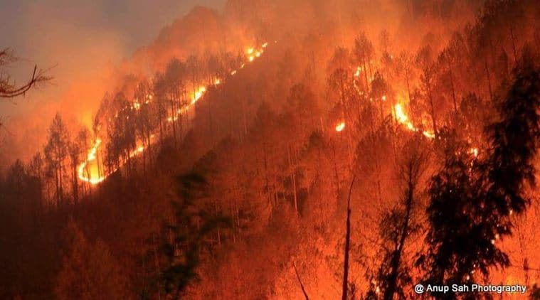uttarakhand-forest-fire